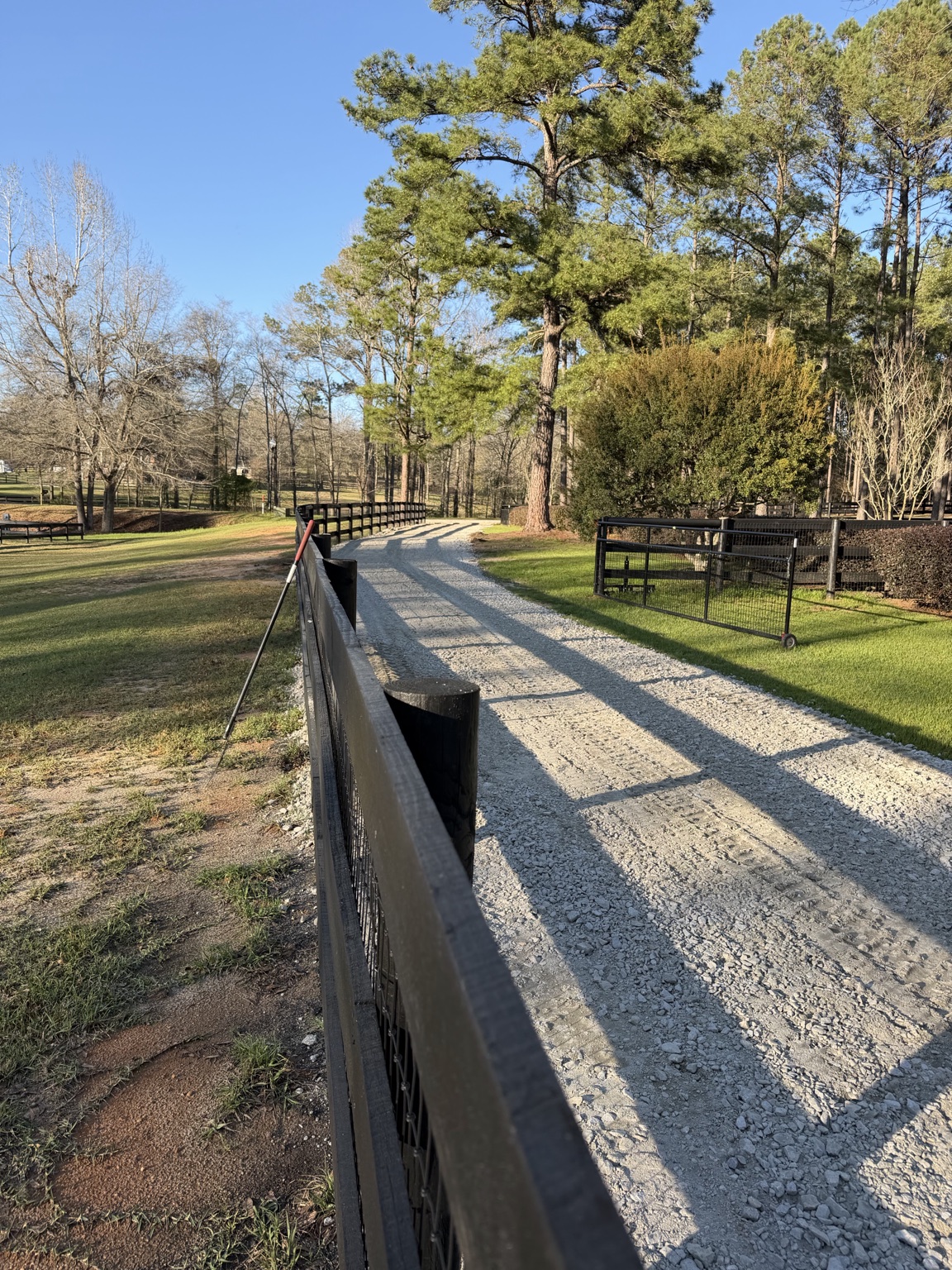 Long gravel farm drive bordered by black estate fencing and mature pines